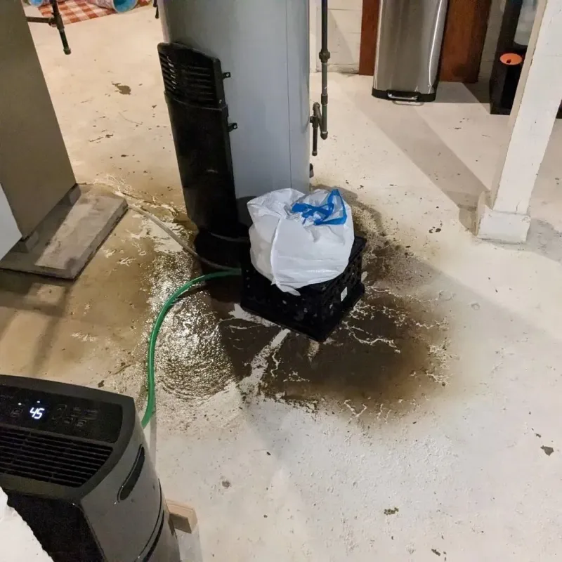 Sewage Backup Cleanup Service in Batesburg-Leesville, SC